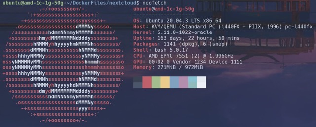 neofetch result